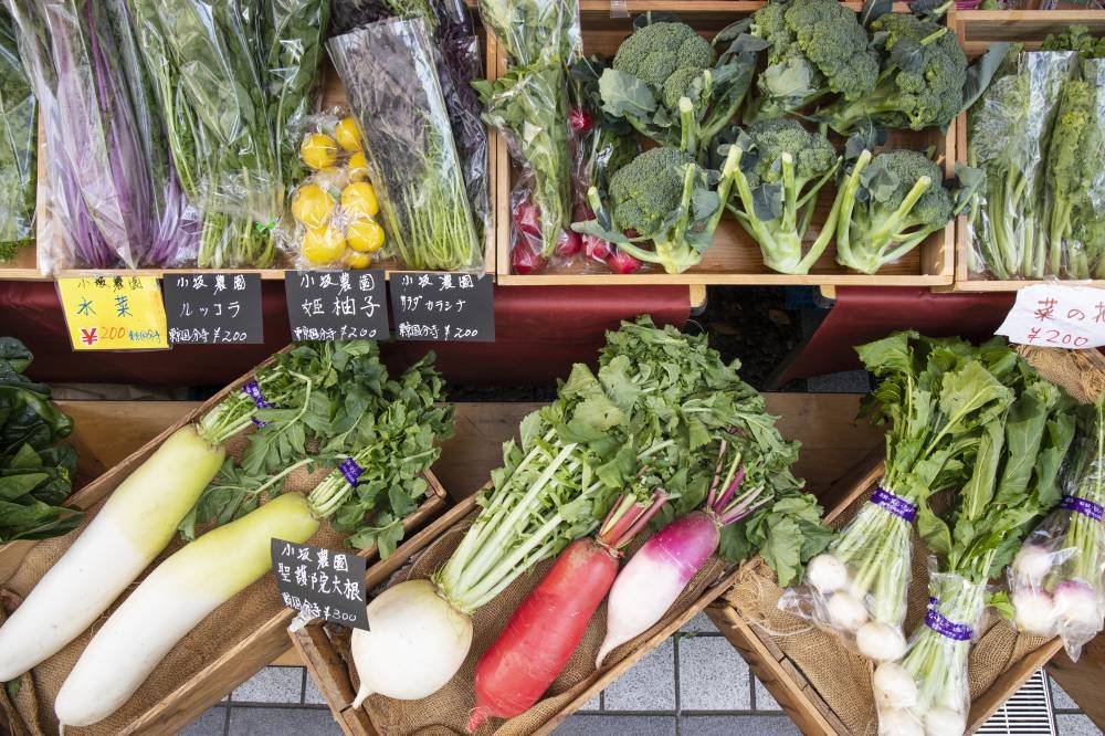 🏞️ 오타카노미치·마스가타노이케 용수군 이미지 5